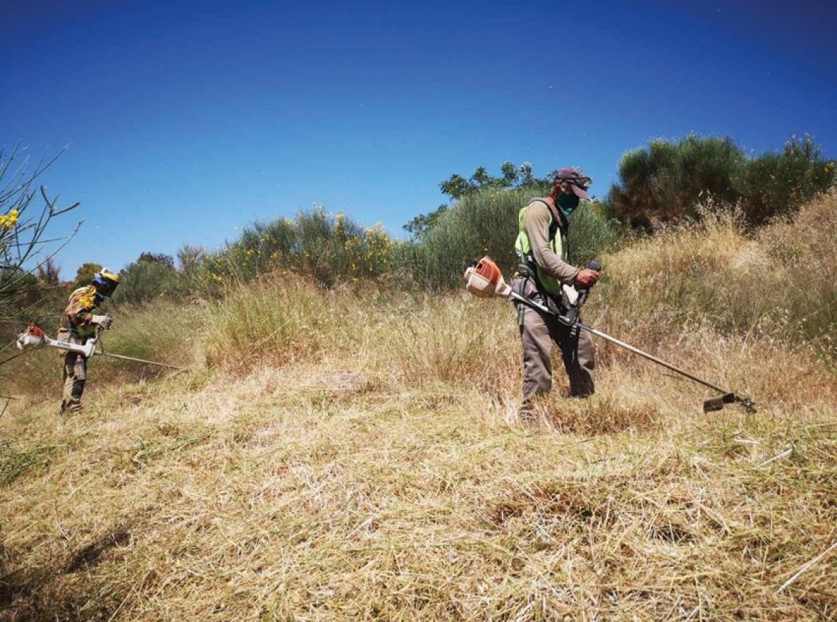 Υποχρεωτικός καθαρισμός οικοπέδων και Δήλωση Καθαρισμού